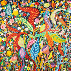 JARDÍN NOCTURNO, MAURICIO SILLER


